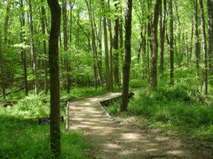 Little Bennet Regional Park MD Little-Bennet-Regional-Park-MD